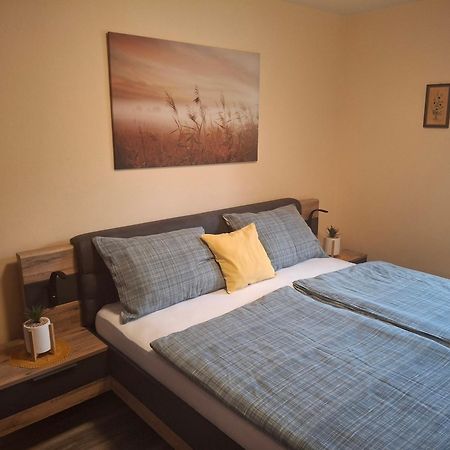 לוצ'ה Apartment Veninsek מראה חיצוני תמונה