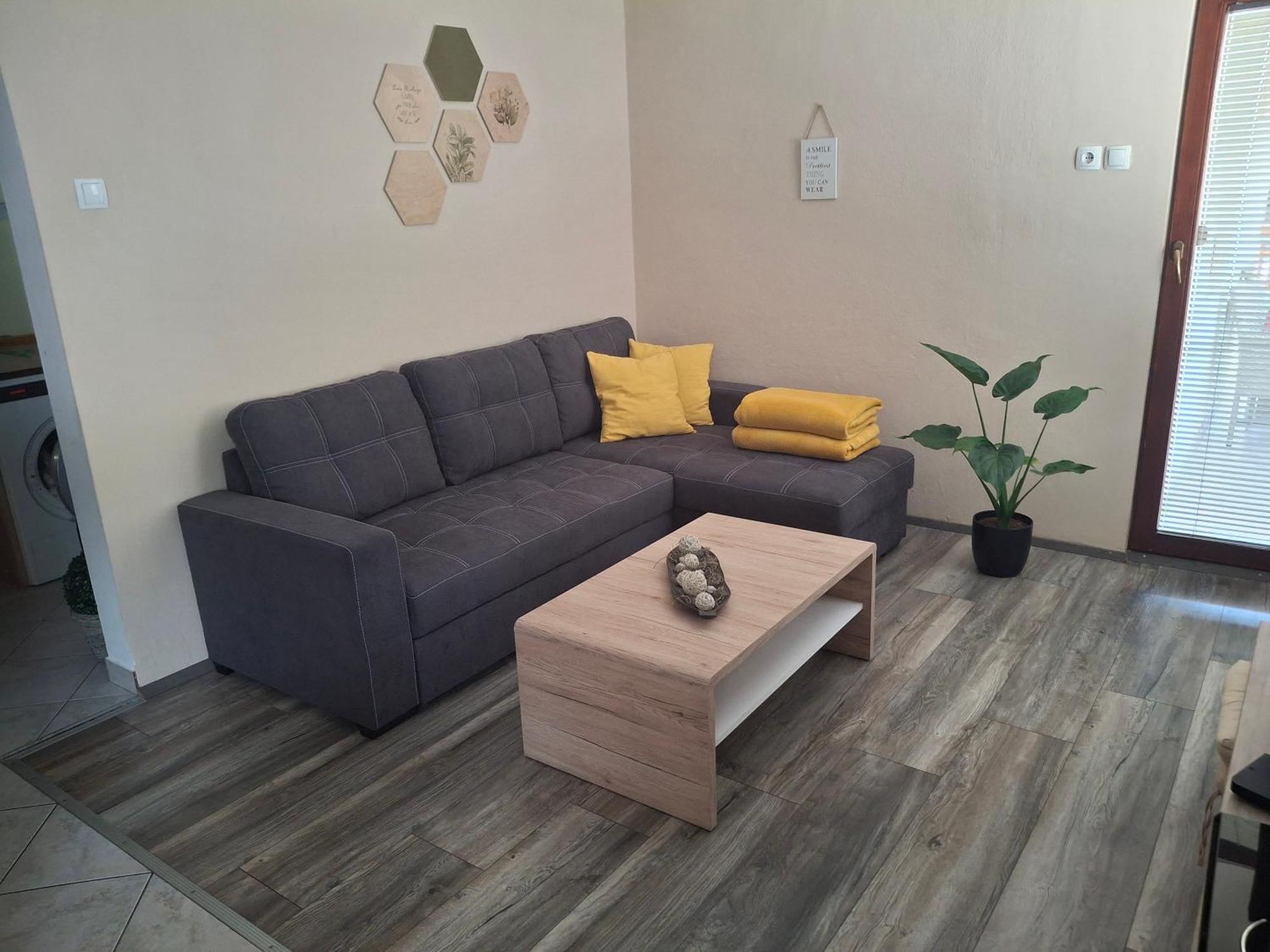 לוצ'ה Apartment Veninsek מראה חיצוני תמונה